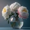 dorothythoma536